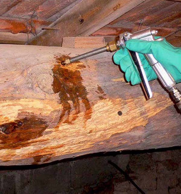 Charpente - AUGUSTE HABITAT : Artisan charpentier couvreur dans les Alpes-Maritimes (06) : Charpente & Traitement bois : Charpente traditionnelle, à fermettes … du massif au lamellé-collé. Traitement des boiseries charpente. … intervention dans les Alpes-Maritimes (06)