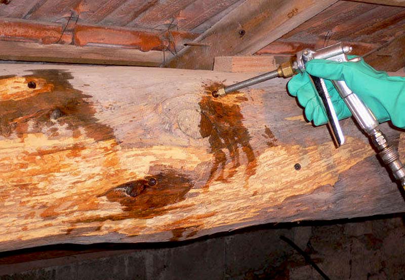 Charpente - AUGUSTE HABITAT : Artisan charpentier couvreur dans les Alpes-Maritimes (06) : Charpente & Traitement bois : Charpente traditionnelle, à fermettes … du massif au lamellé-collé. Traitement des boiseries charpente.  … intervention dans les Alpes-Maritimes (06)